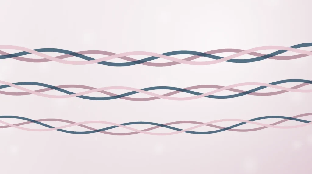 Illustration of collagen triple helix fibres in the skin