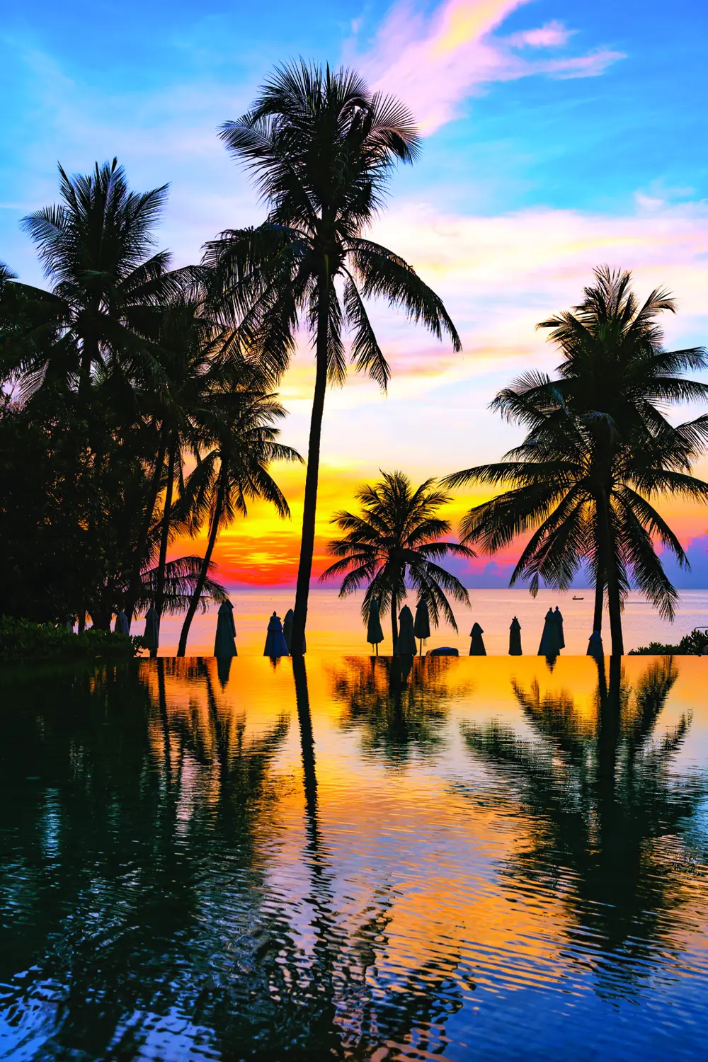 Palm trees reflected in still water at sunset